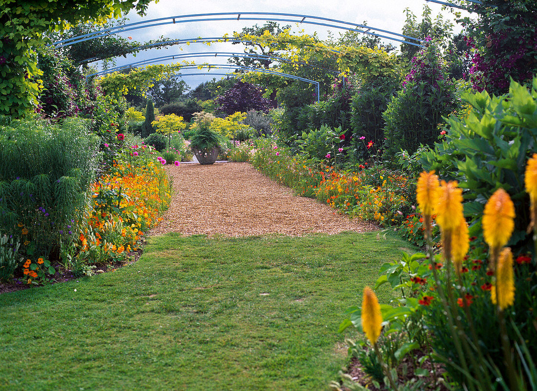 Pergola with clematis, rose