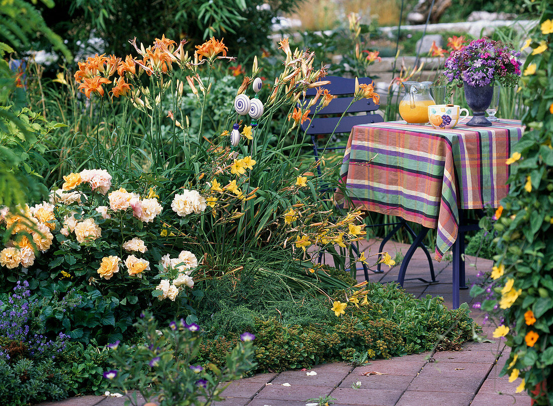 Sitzplatz am Sommerbeet: Anchusa capensis, Rosa 'Tequila' Beetrose