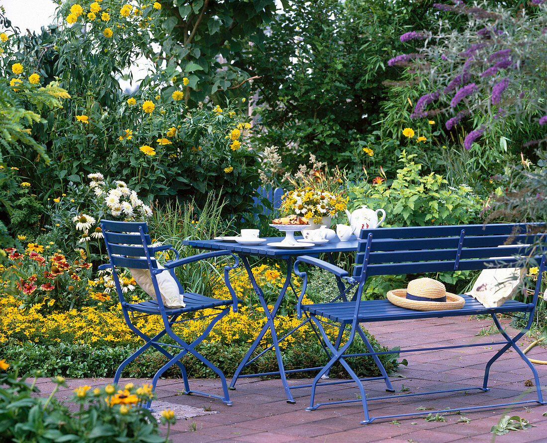 Sitzplatz im Garten: Coreopsis verticillata (Mädchenauge)