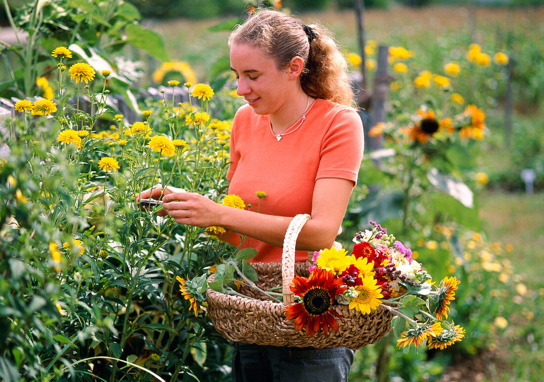 Blüten für Blumenstrauß schneiden