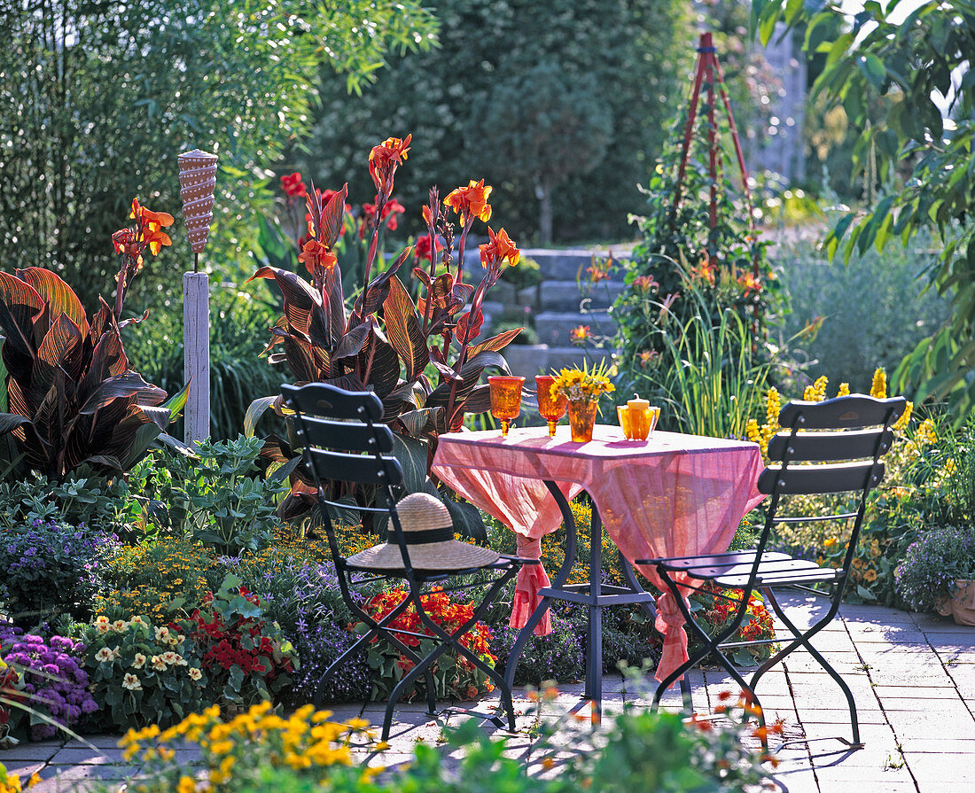 Bed with Canna indica 'Tropicana' (Indian flower tube)