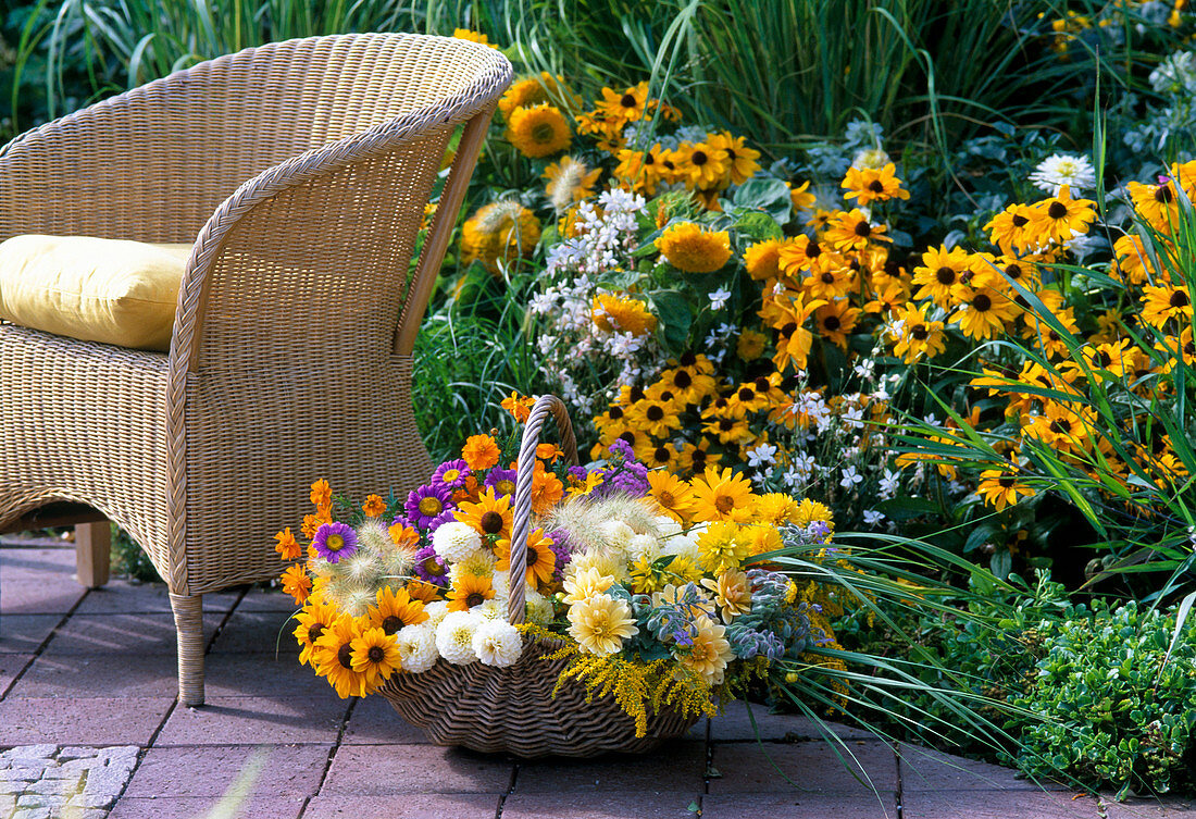 Wicker chair by the bed with Rudbeckia (coneflower), Gaura