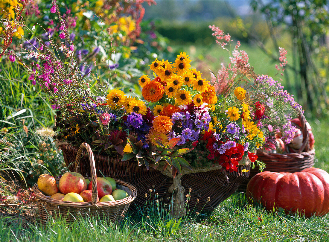 Basket with cut flowers, Rudbeckia, Centaurea, Antirrhinum