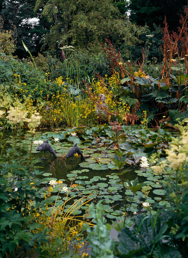 Overgrown pond