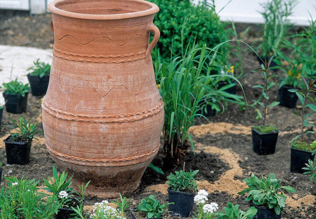 Planting a bed: 3 Step