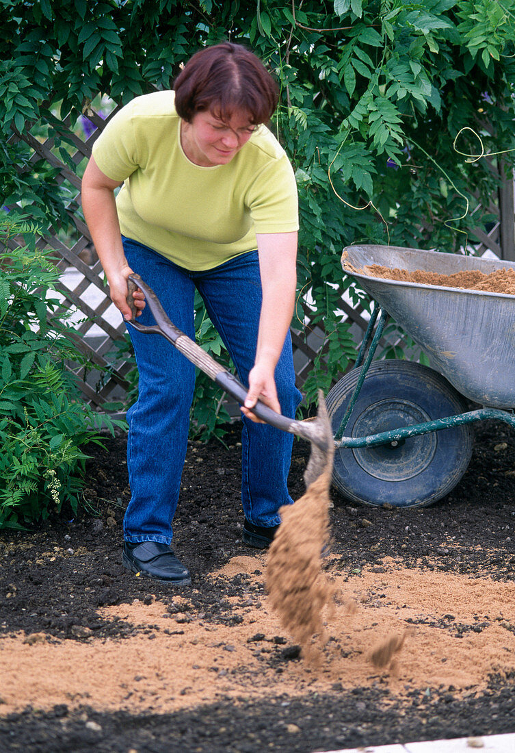Planting a perennial bed: Soil preparation: 6
