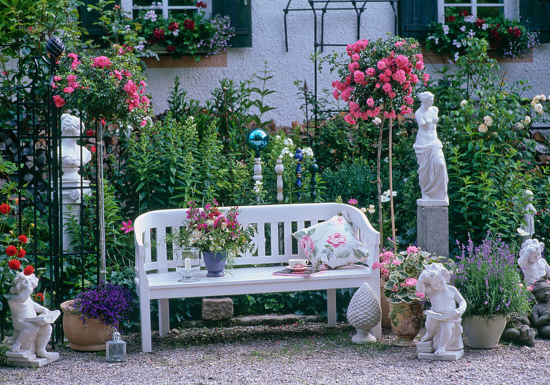 Garden bench with rose high stems