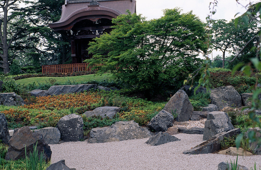 Japanese garden