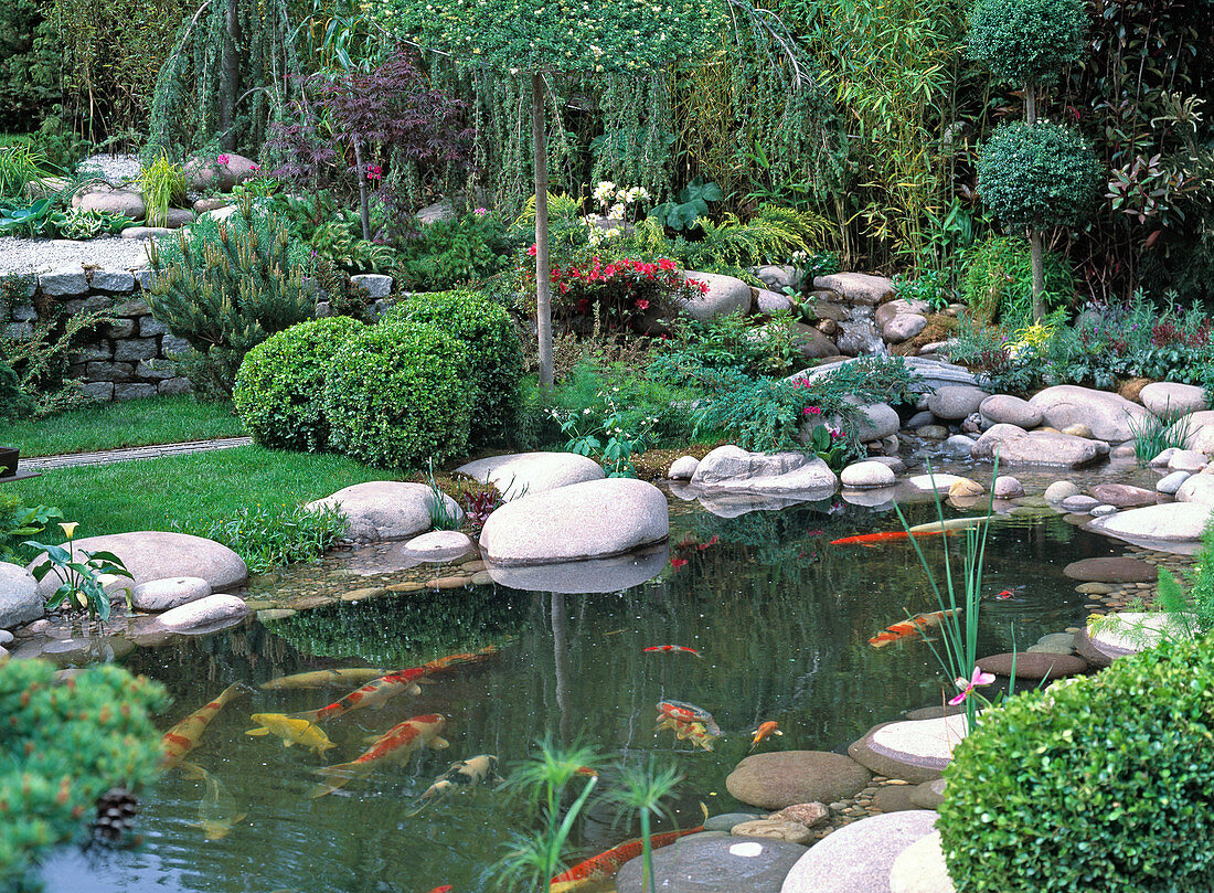 Pond with pebbles, books and gravel