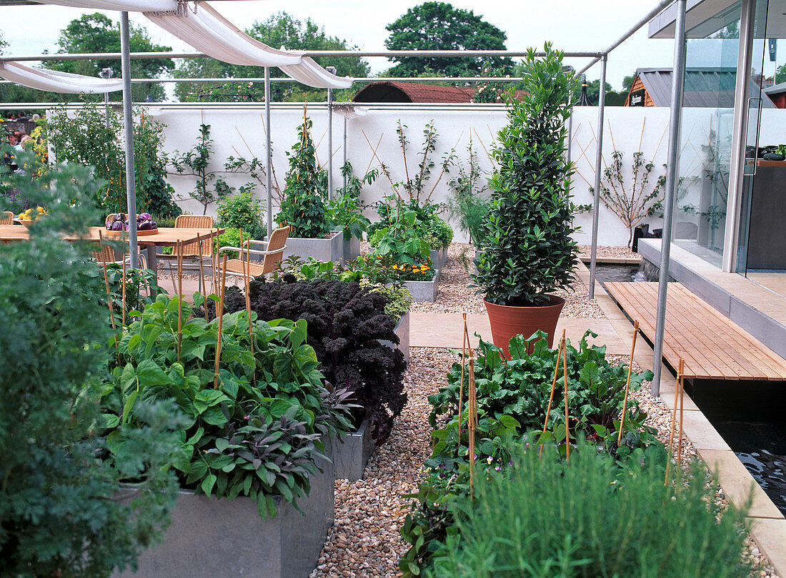 Moderner Gemüsegarten mit Hochbeeten aus Edelstahl, Kiesweg