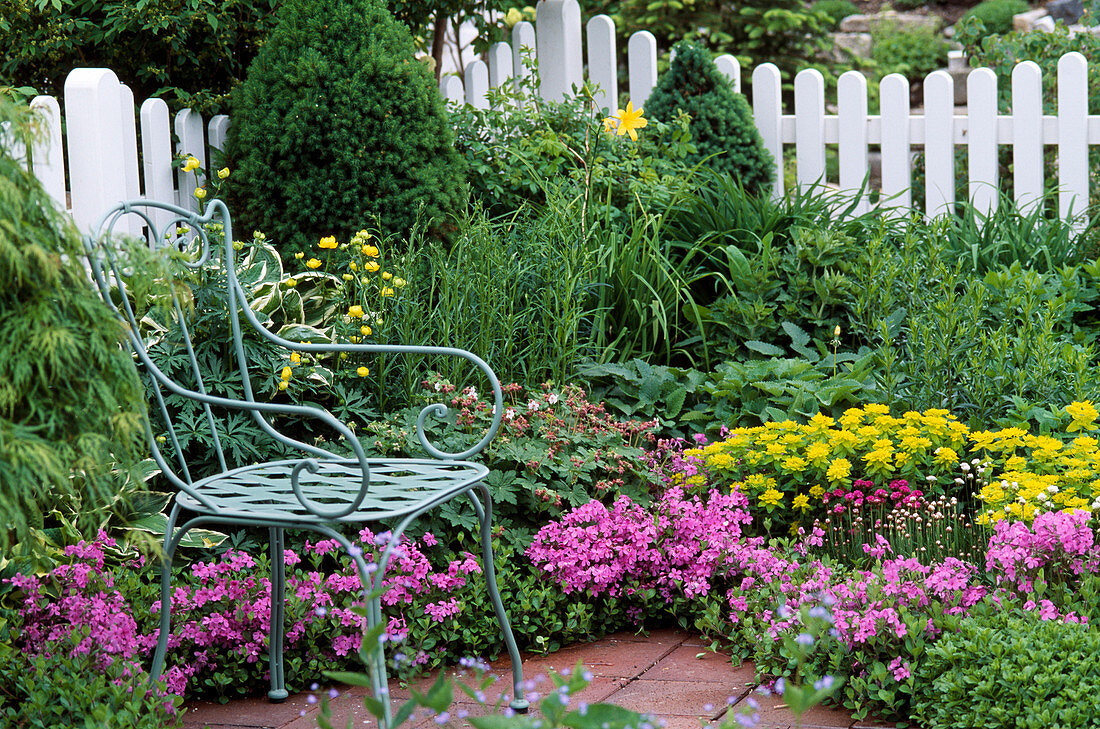 Spring bed with Euphorbia polychroma, Phlox stolonifera