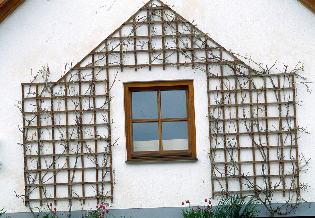 Holzspalier als Klettergestell an einer Hauswand