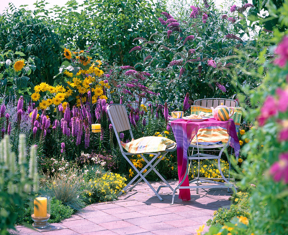 Purple (yellow bedding combination)