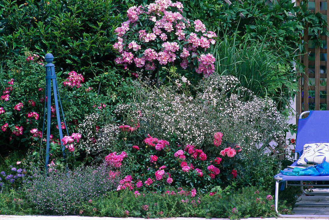 Rosary, Stem Rose 'Ballerina', Gypsophila 'Marisa'