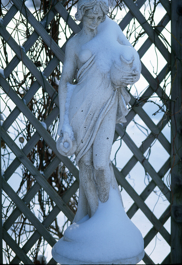 Figure in the snow
