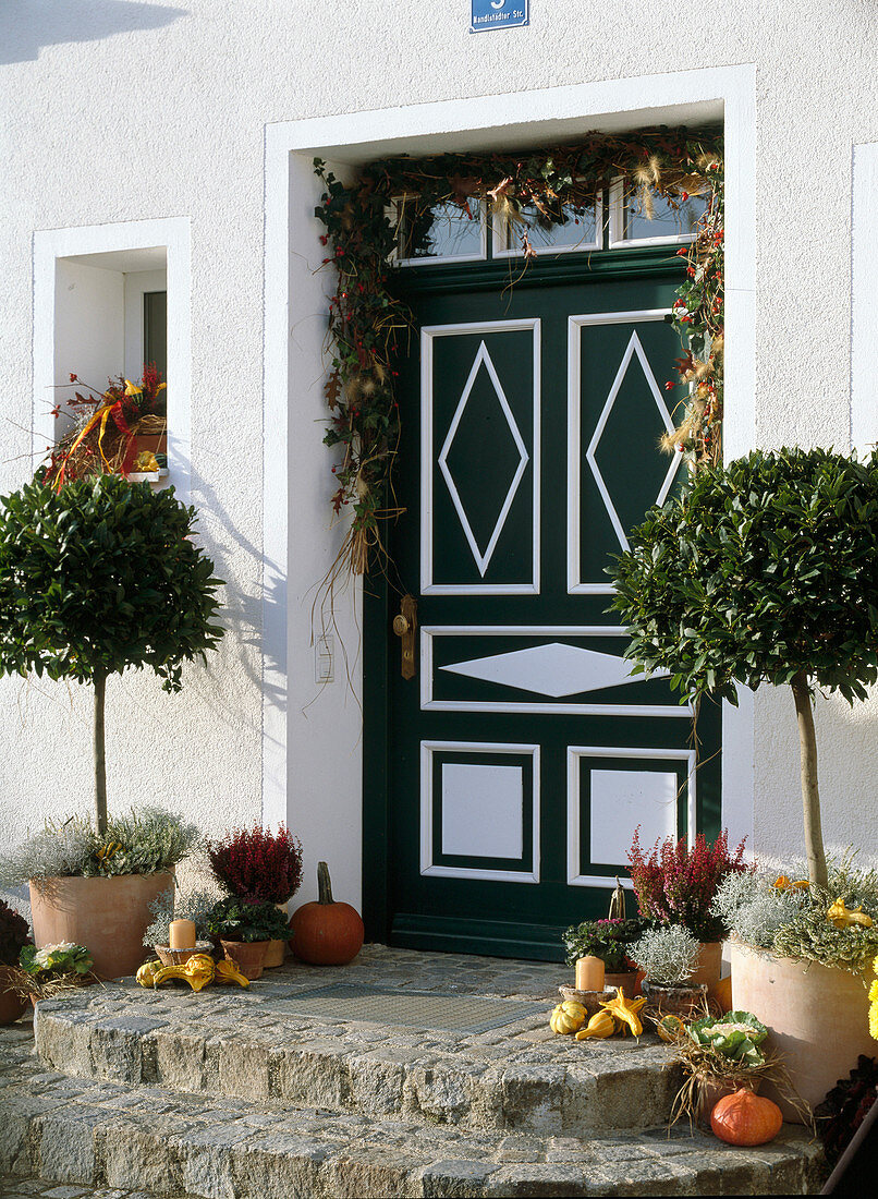 House entrance: Laurus (laurel trees), Erica
