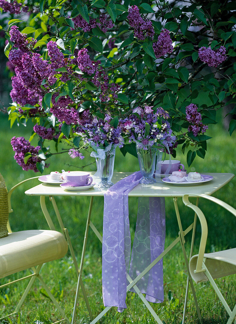 Kaffeetisch unterm Syringa (Fliederbusch), Centaurea (Flockenblume)