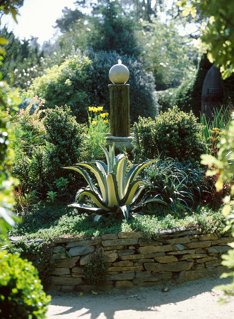 Fountain in Mediterranean flair with agave, aloe and other succulents