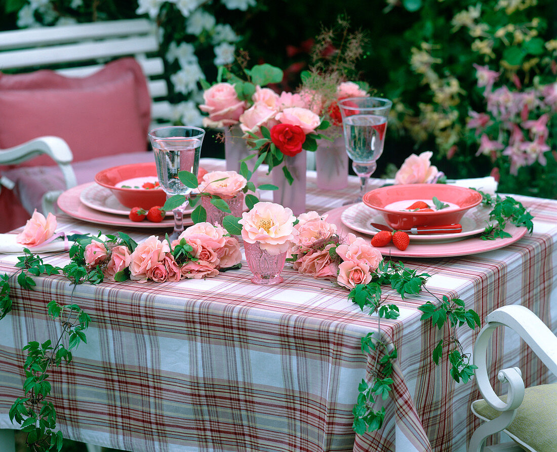 Pink 'Shirley Spray' (rose) and clematis garland