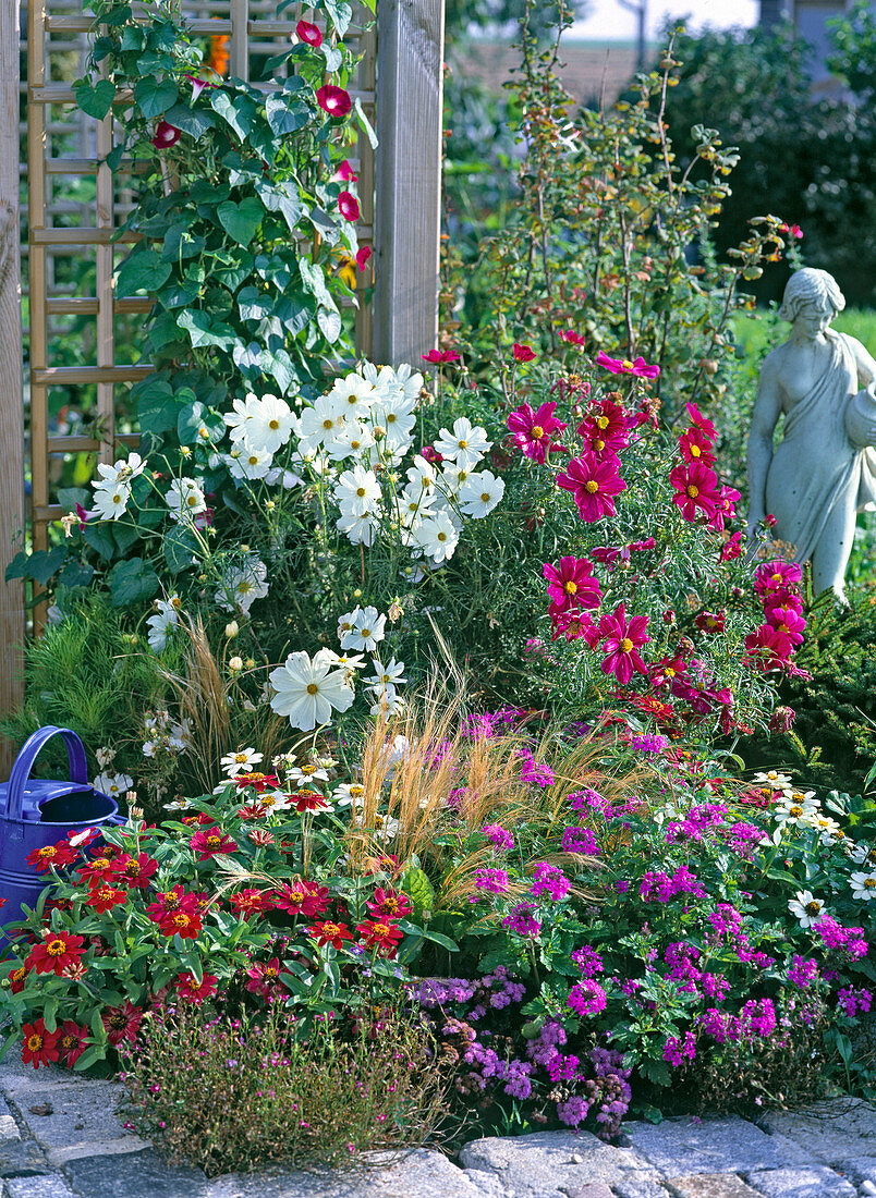 Changing bedding plants through the year