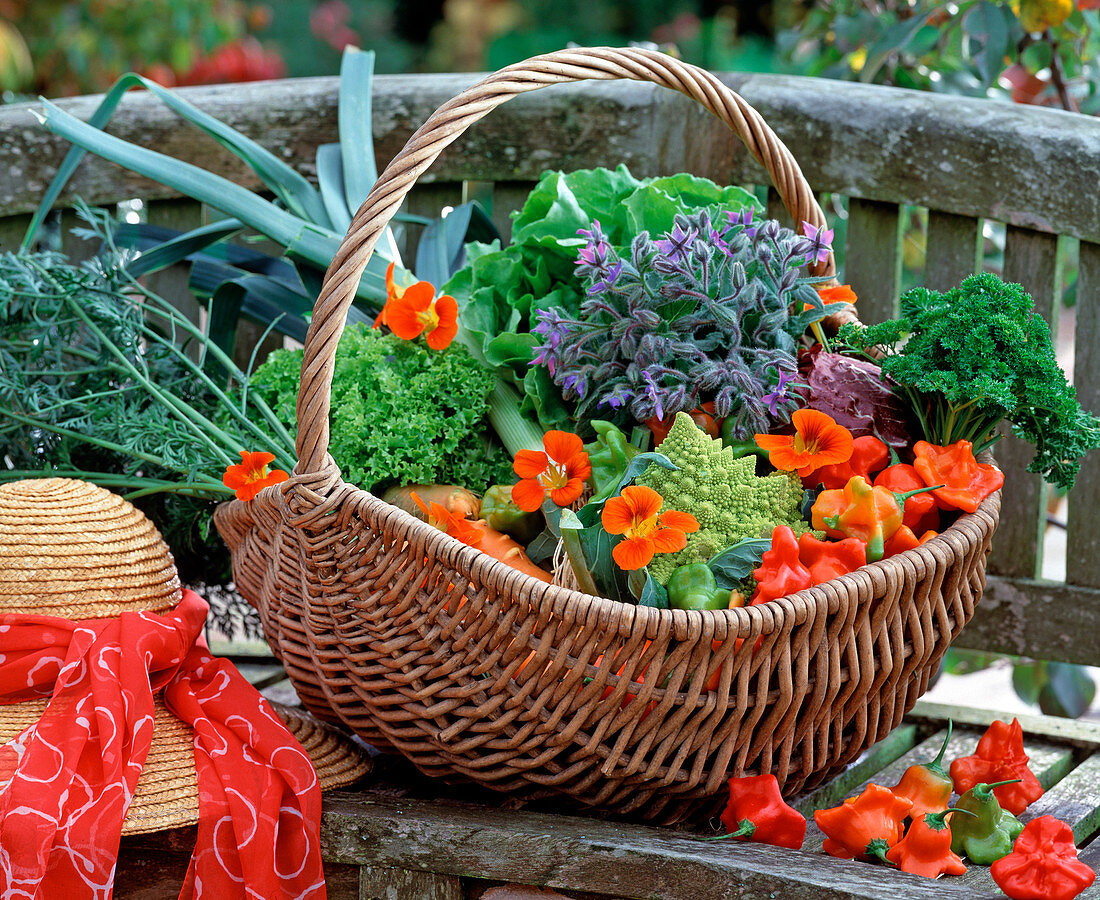 Basket with various vegetables
