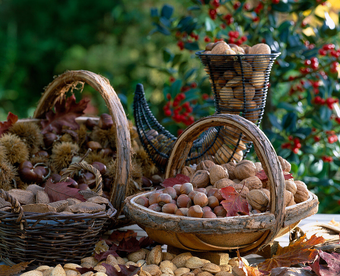Still life with walnuts, hazelnuts, chestnuts, almonds and Brazil nuts