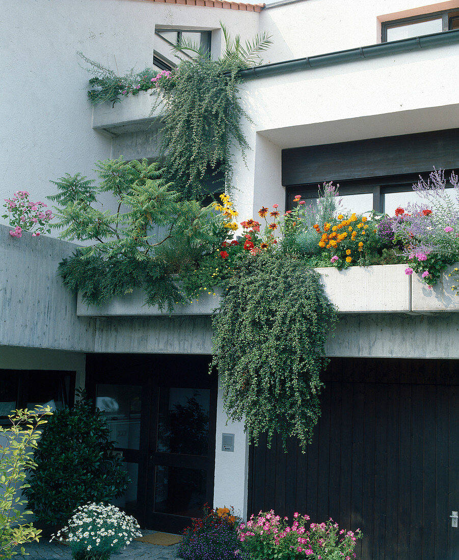 Roof garden