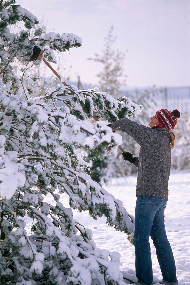 Young woman shakes snow load with broom
