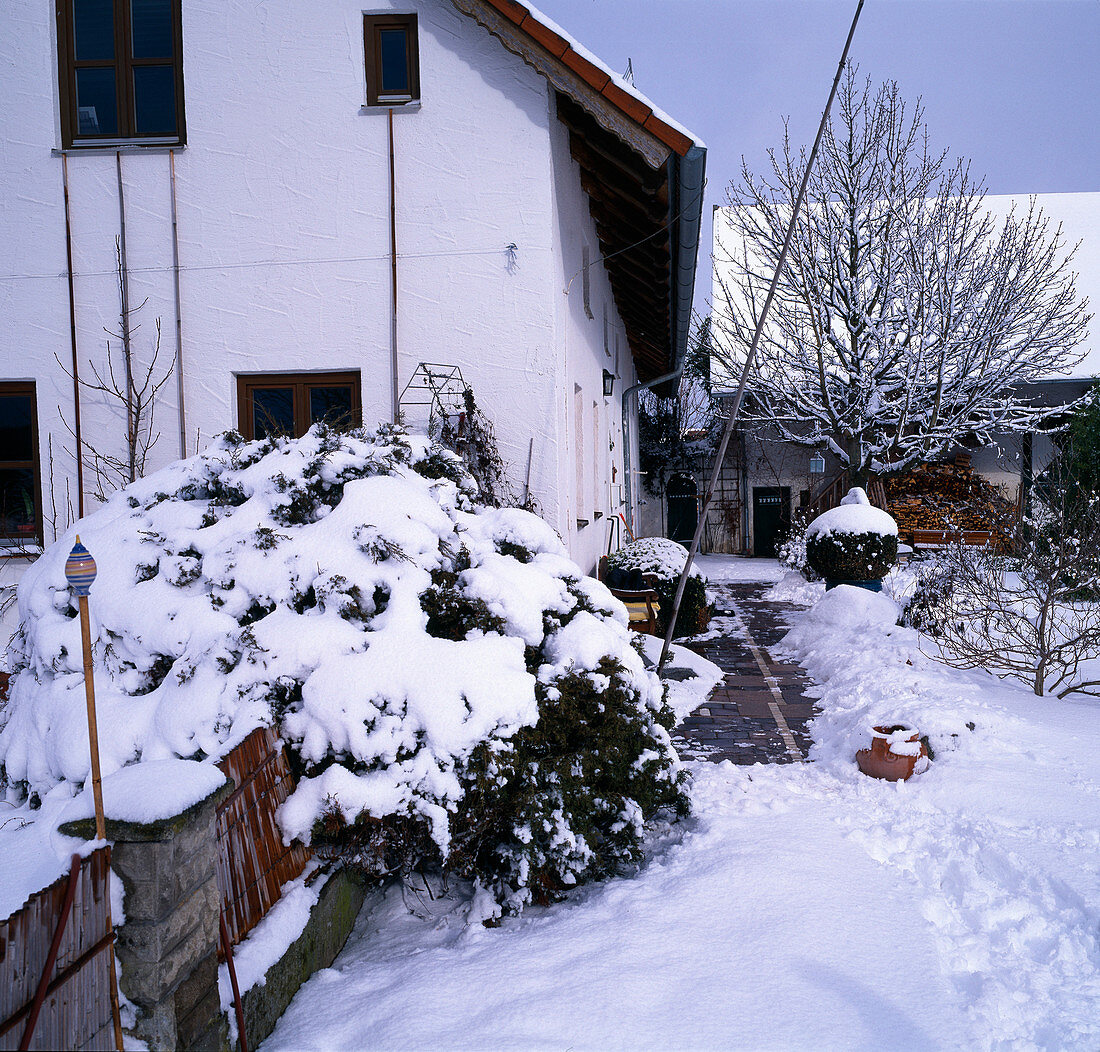 House with snowy garden