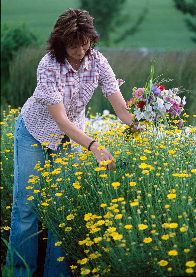 Young woman cutting flowers