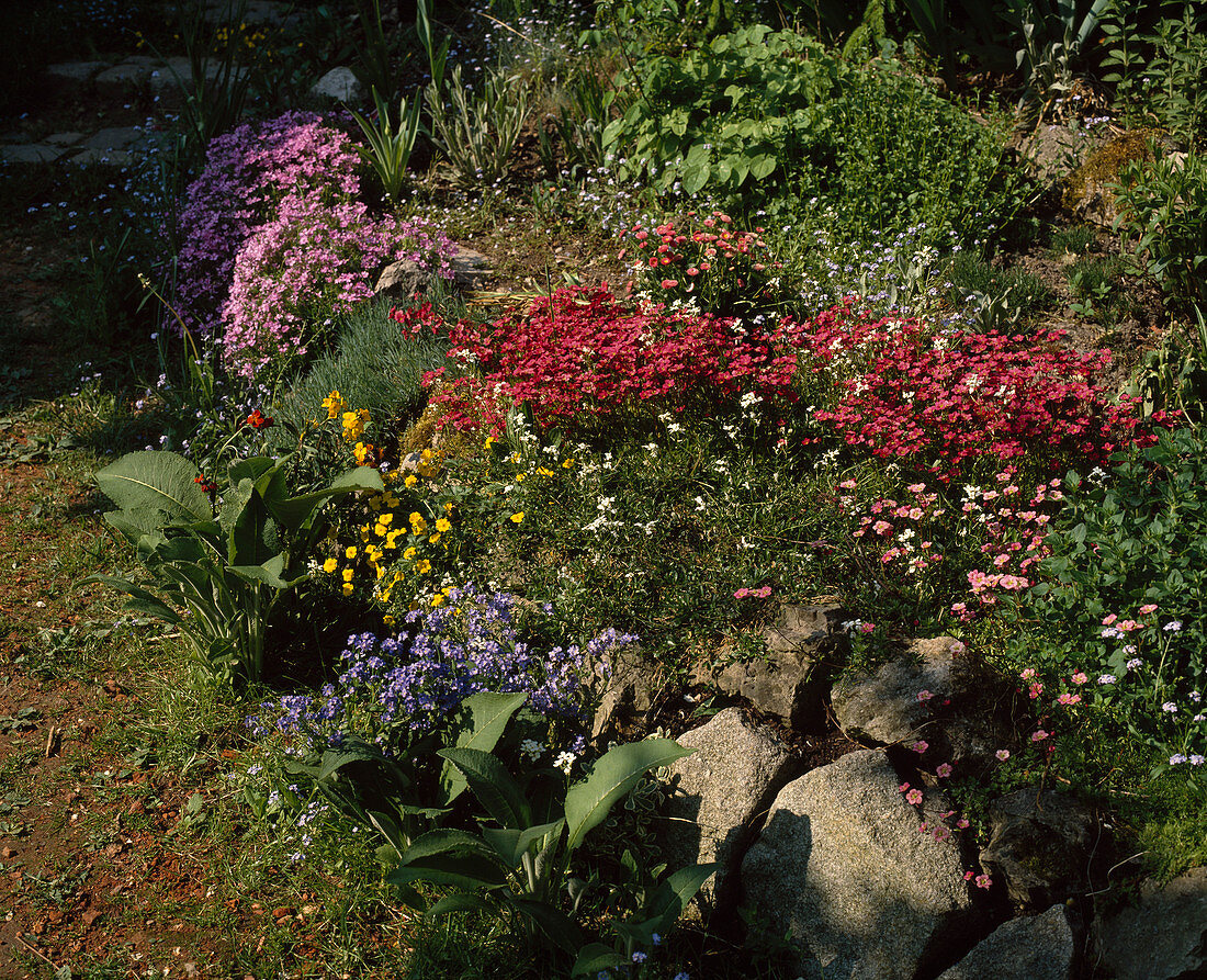 Dry stone wall