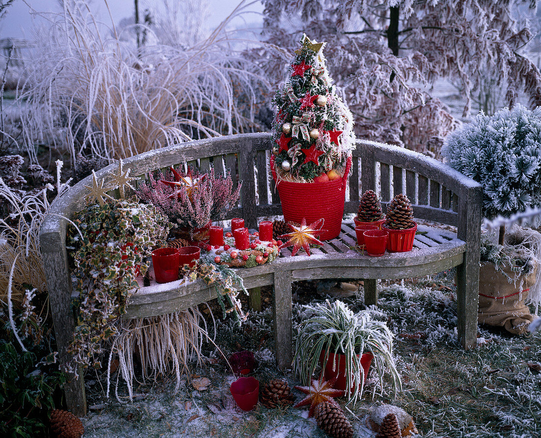 Garden bench with Christmas decoration: Hedera (ivy), Calluna (broom heather), Buxus
