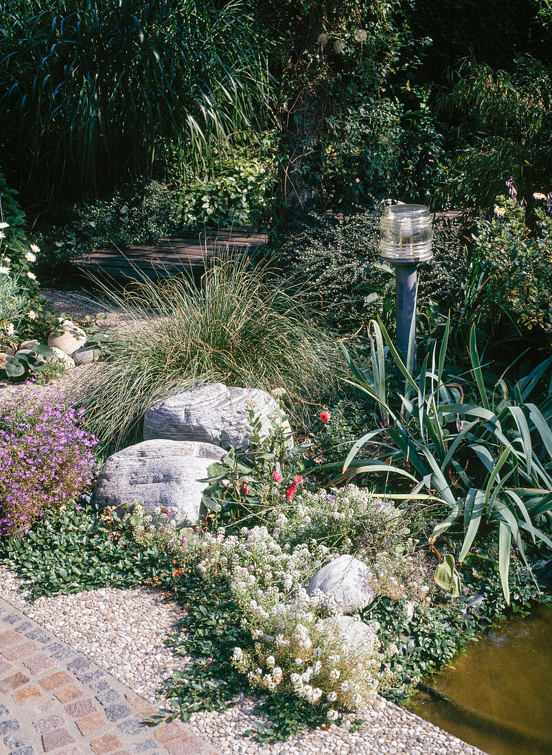 Erratic stones, Pennisetum