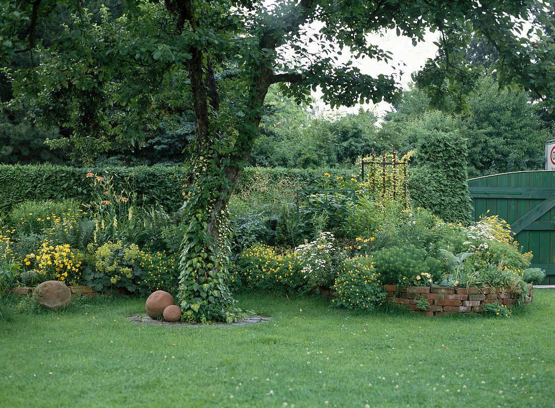 Yellow perennial border