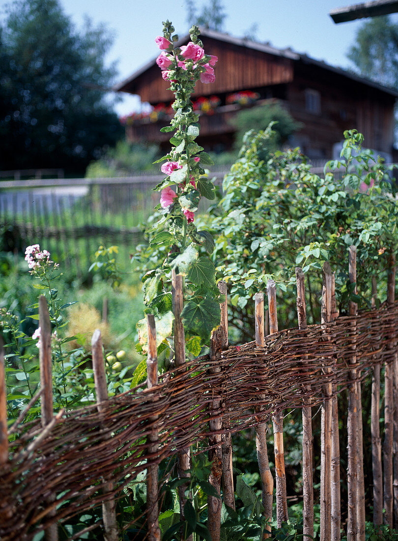 Flechtzaun für den Bauerngarten