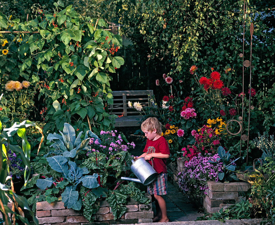 Vegetable garden with beans, chard and kohlrabi