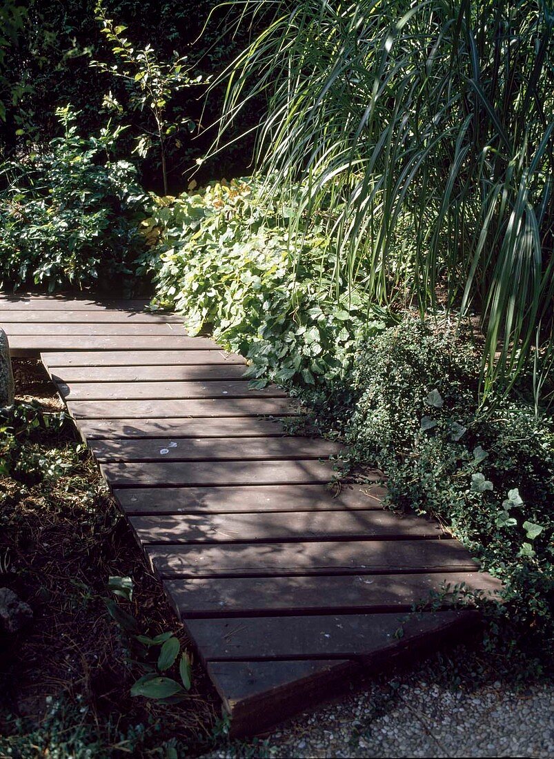 Wooden footbridge as garden path