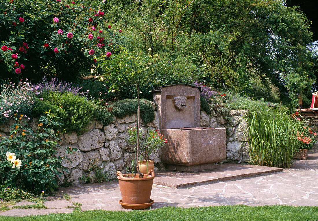 Slope garden with natural stone wall