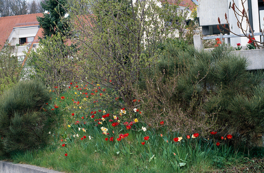 Hanging planting with