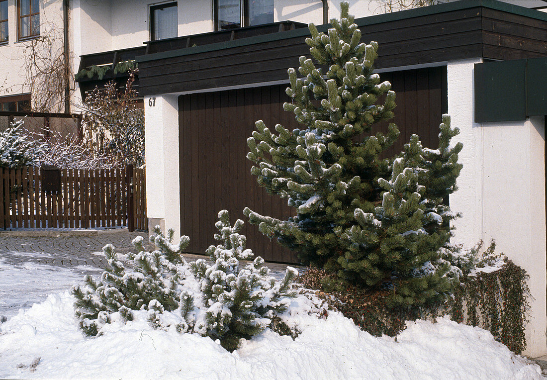 Optical demarcation to the neighbouring garage