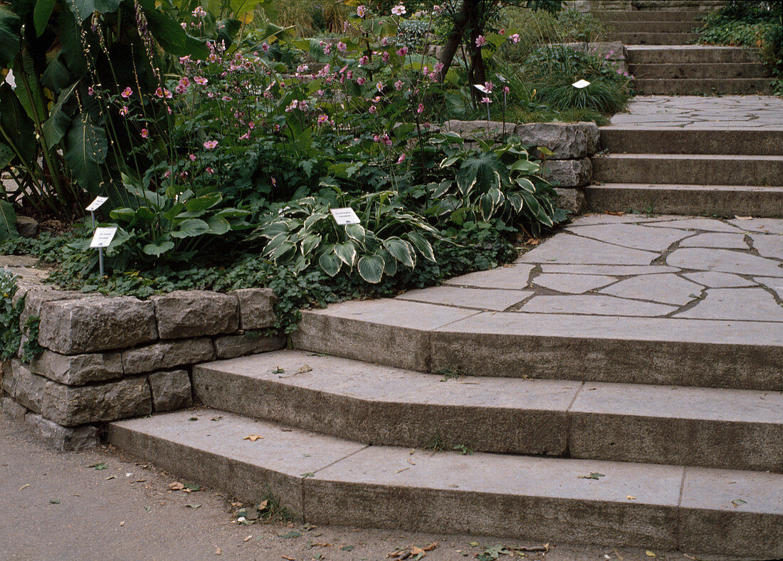 Limestone stairs