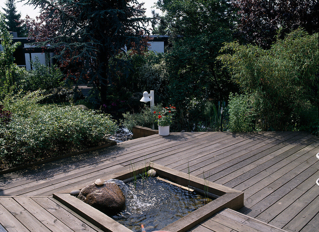 Wooden terrace with integrated pond