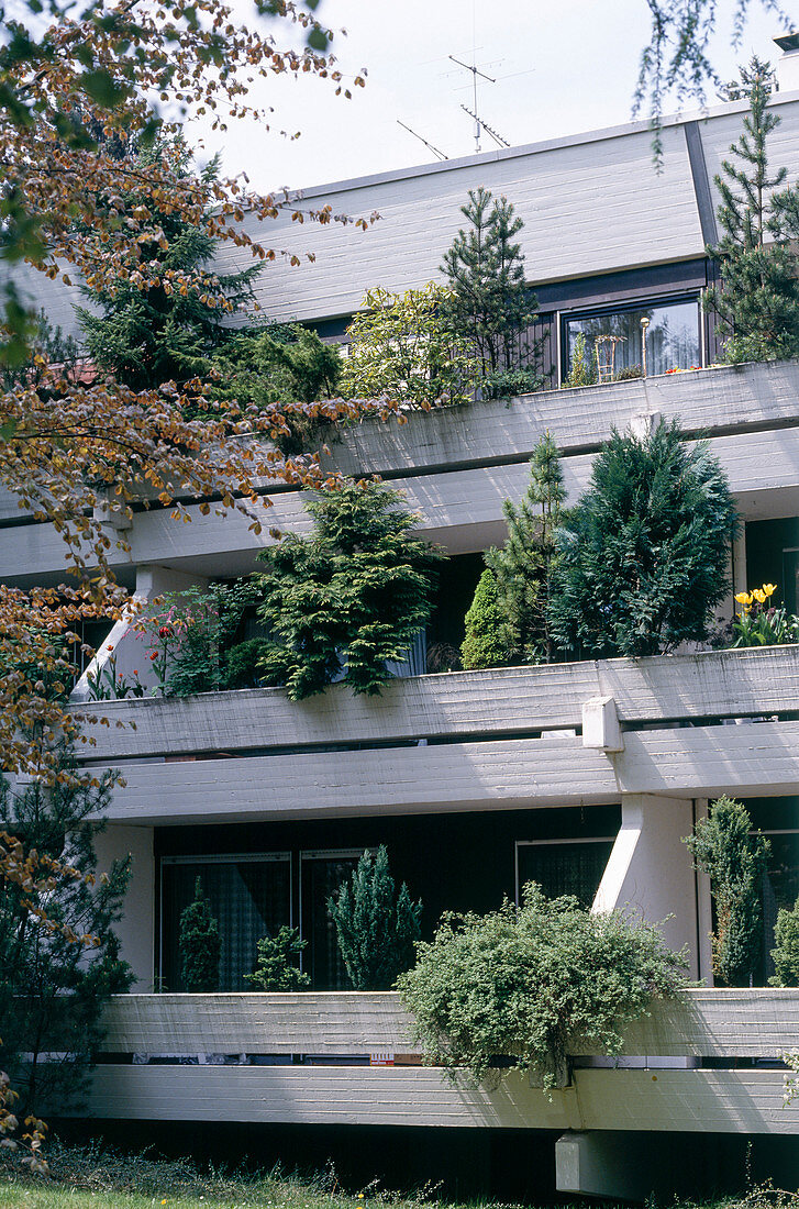 Balconies with concrete planter boxes