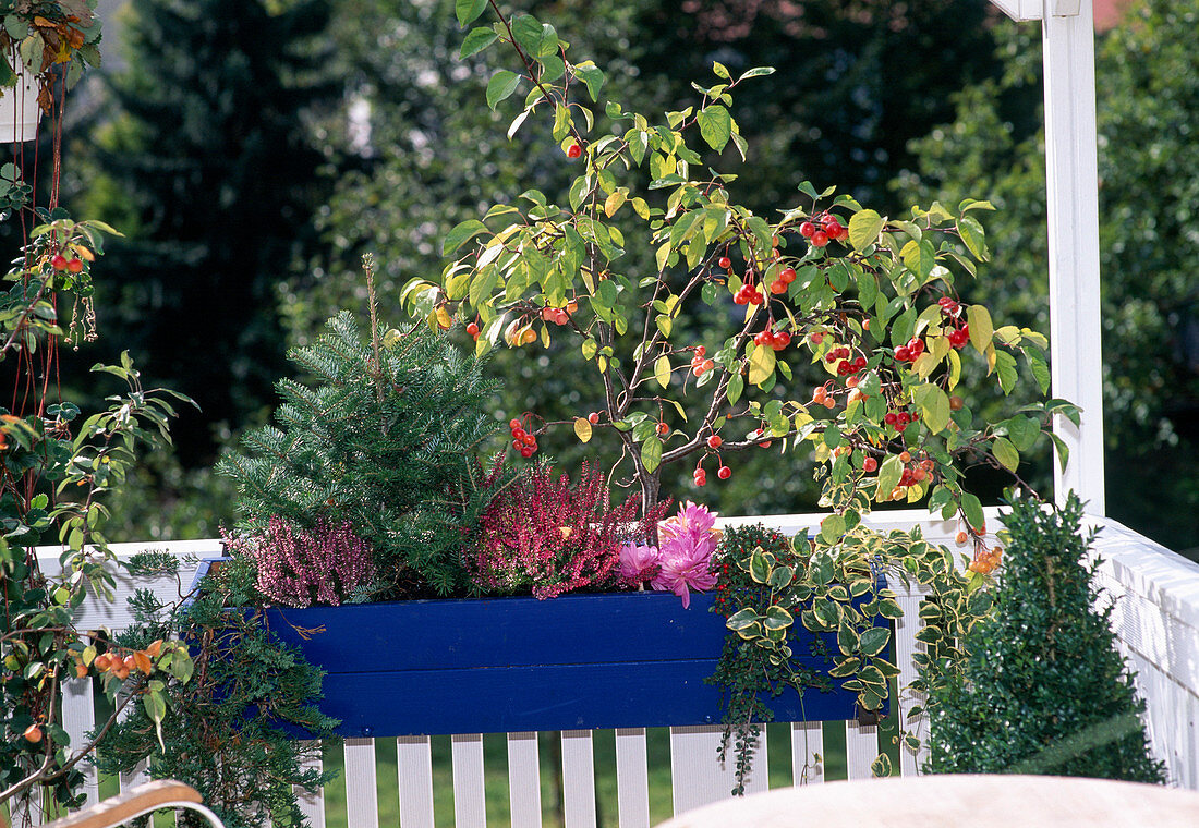 Seasonal box in autumn