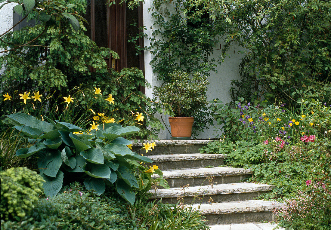 Treppe zum Hauseingang