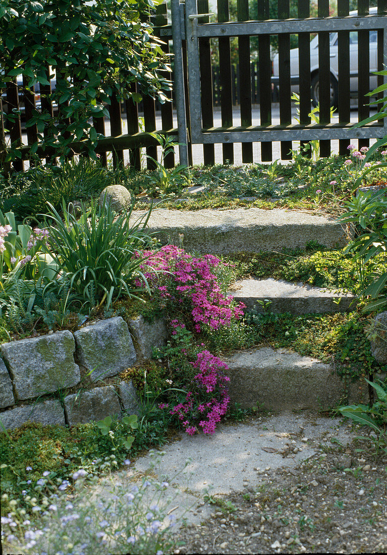 Treppe mit Trockenmauer