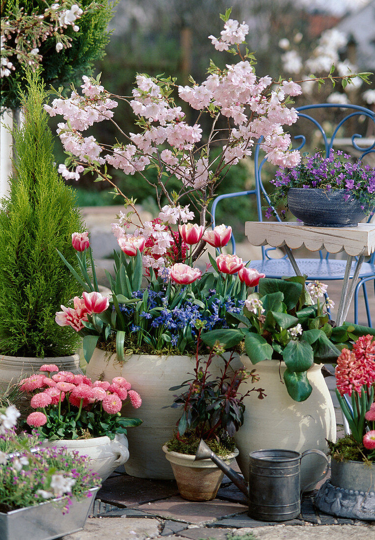 Vorfrühling auf der Terrasse