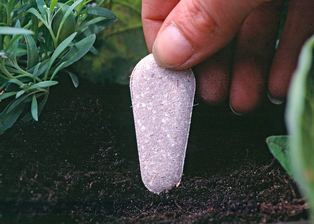 Permanent fertiliser in wedge form