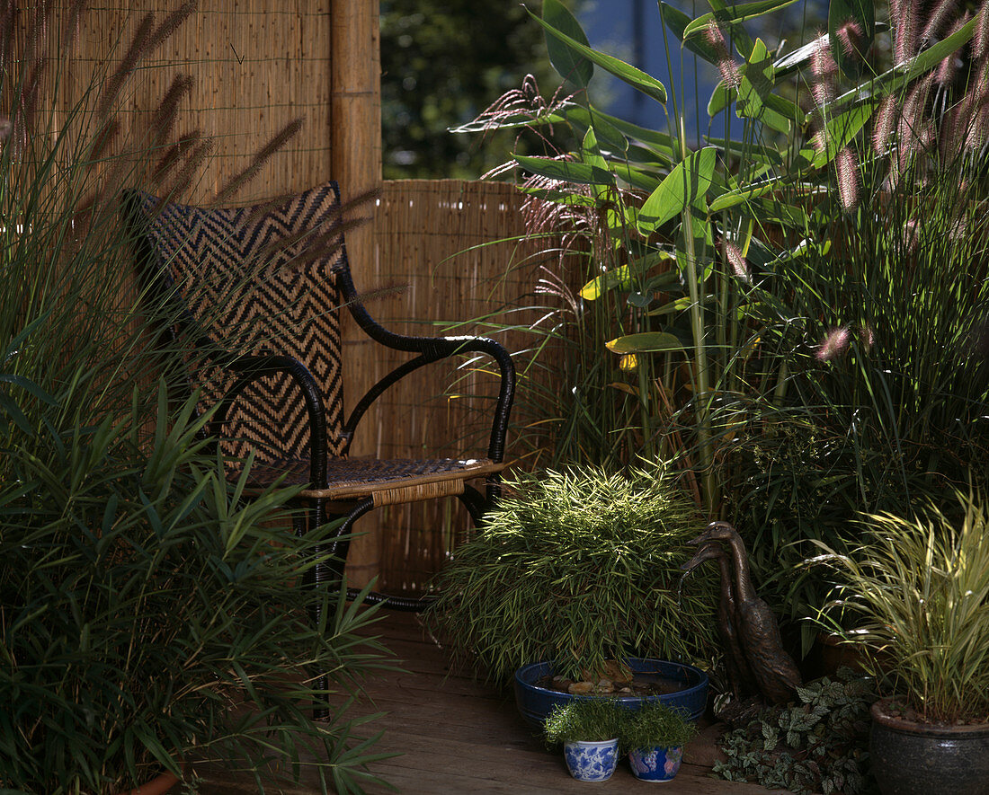 Asia-balcony with grasses and water-marin