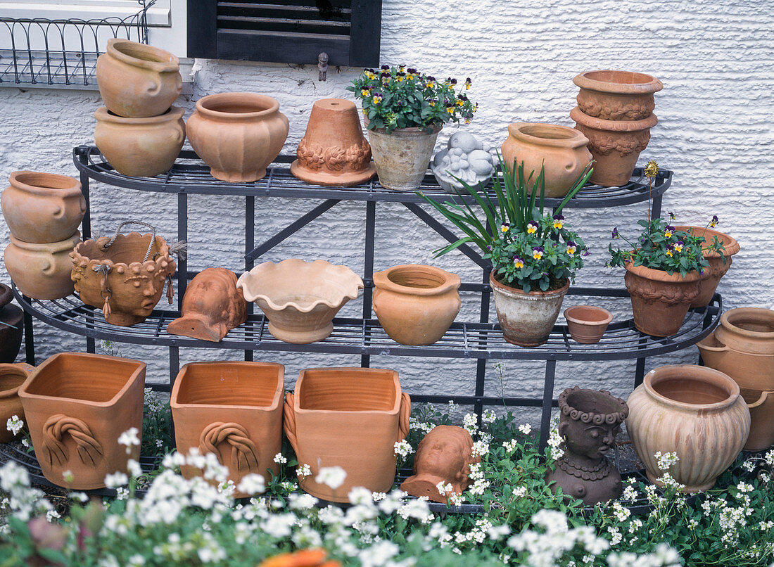 Various terracotta pots on shelf